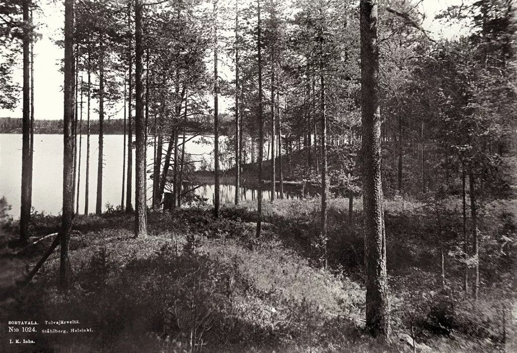 Tolvajärveltä. I. K. Inha 1893.